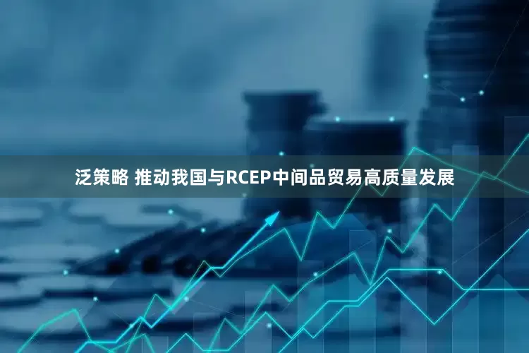 泛策略 推动我国与RCEP中间品贸易高质量发展