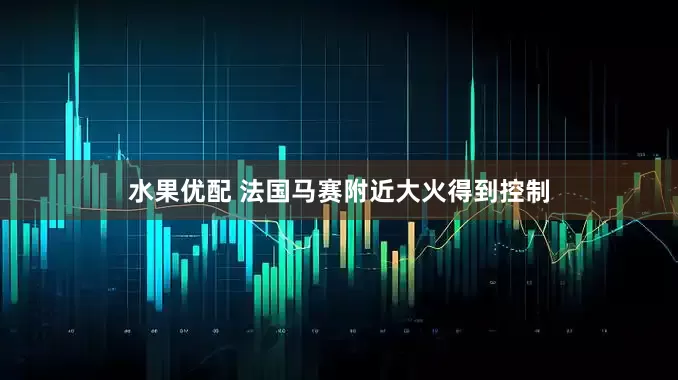 水果优配 法国马赛附近大火得到控制