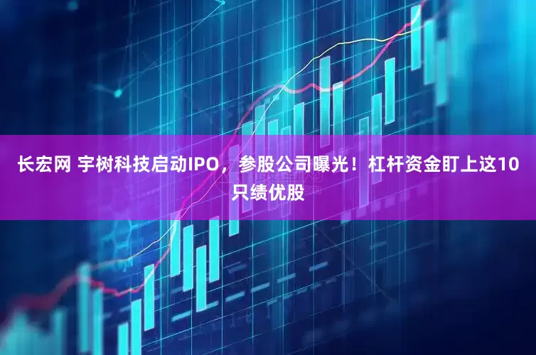 长宏网 宇树科技启动IPO，参股公司曝光！杠杆资金盯上这10只绩优股