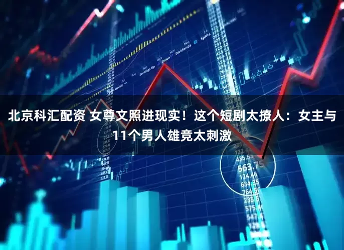 北京科汇配资 女尊文照进现实！这个短剧太撩人：女主与11个男人雄竞太刺激