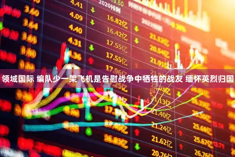 领域国际 编队少一架飞机是告慰战争中牺牲的战友 缅怀英烈归国